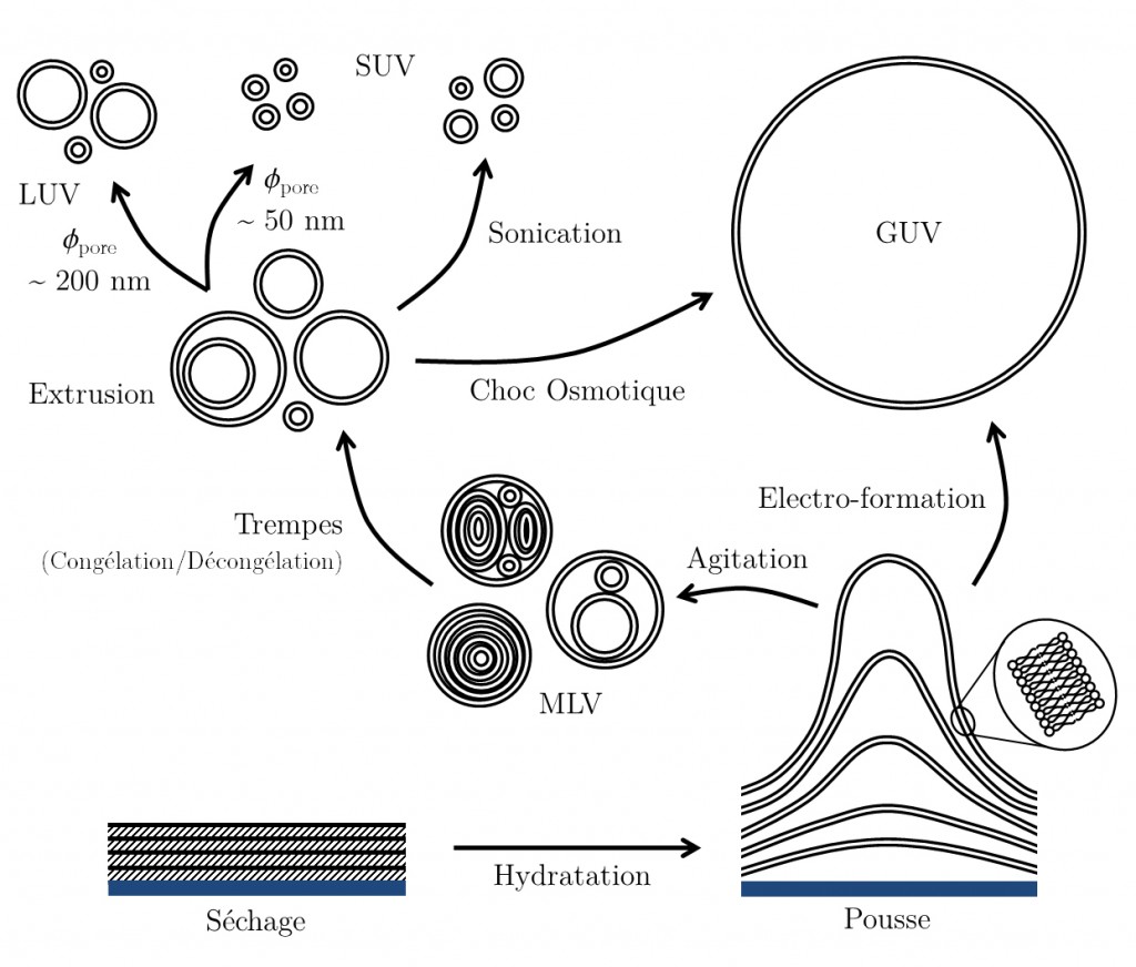 Figure10