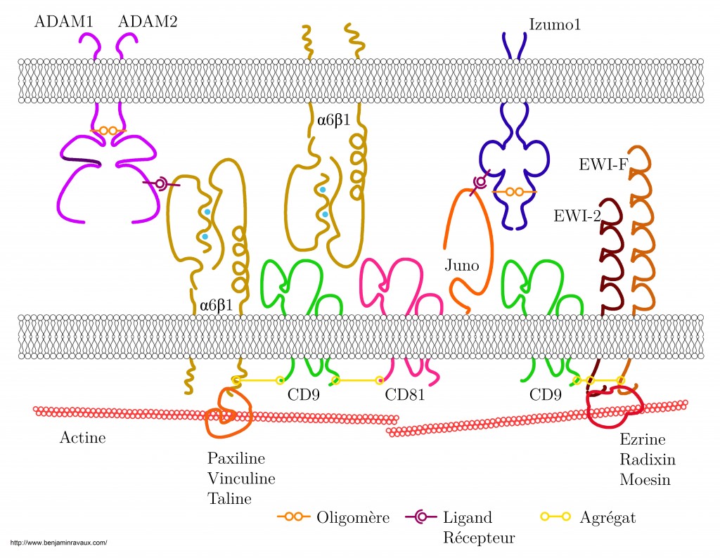Figure2