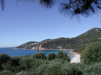 Carg&egrave;se