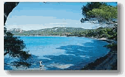 Porquerolles, Centre IGESA