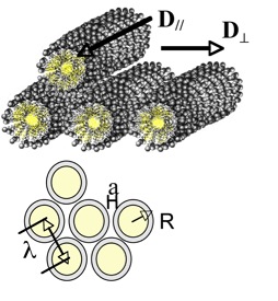 phase héxagonale micellaire